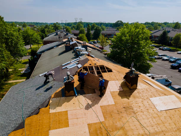 Best Roof Maintenance Services  in Detroit Beach, MI