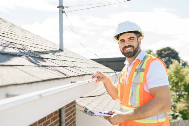 Best Local Roofing Companies  in Detroit Beach, MI