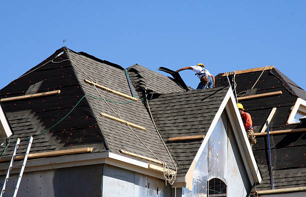 Best Shingle Roofing Installation  in Detroit Beach, MI