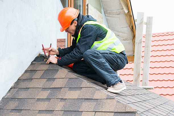 Best Roof Replacement Cost  in Detroit Beach, MI