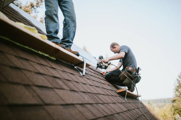 Best Commercial Roofing Services  in Detroit Beach, MI
