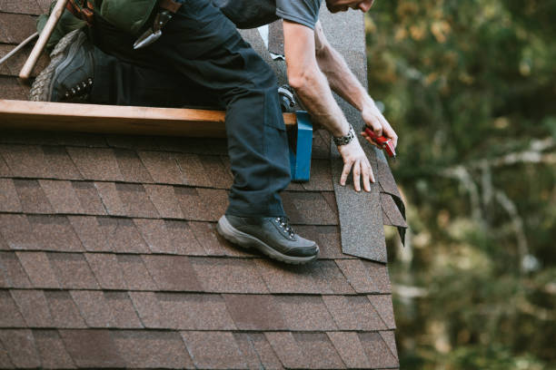 Best Commercial Roofing Services  in Detroit Beach, MI