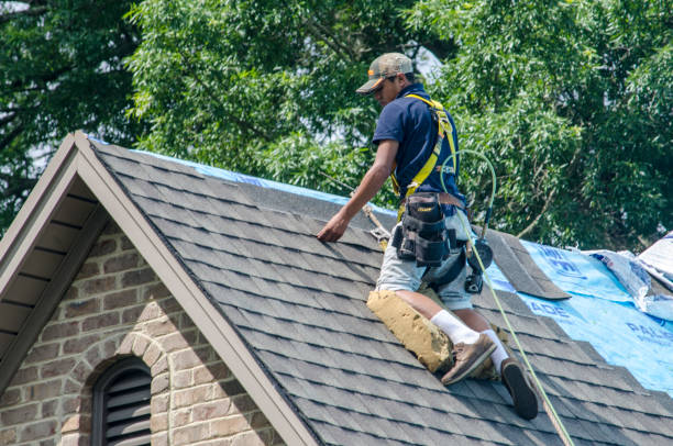 Sealant for Roof in Detroit Beach, MI